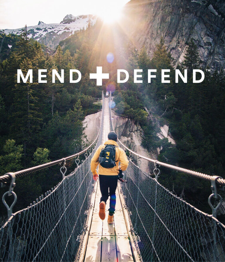 MendDefend