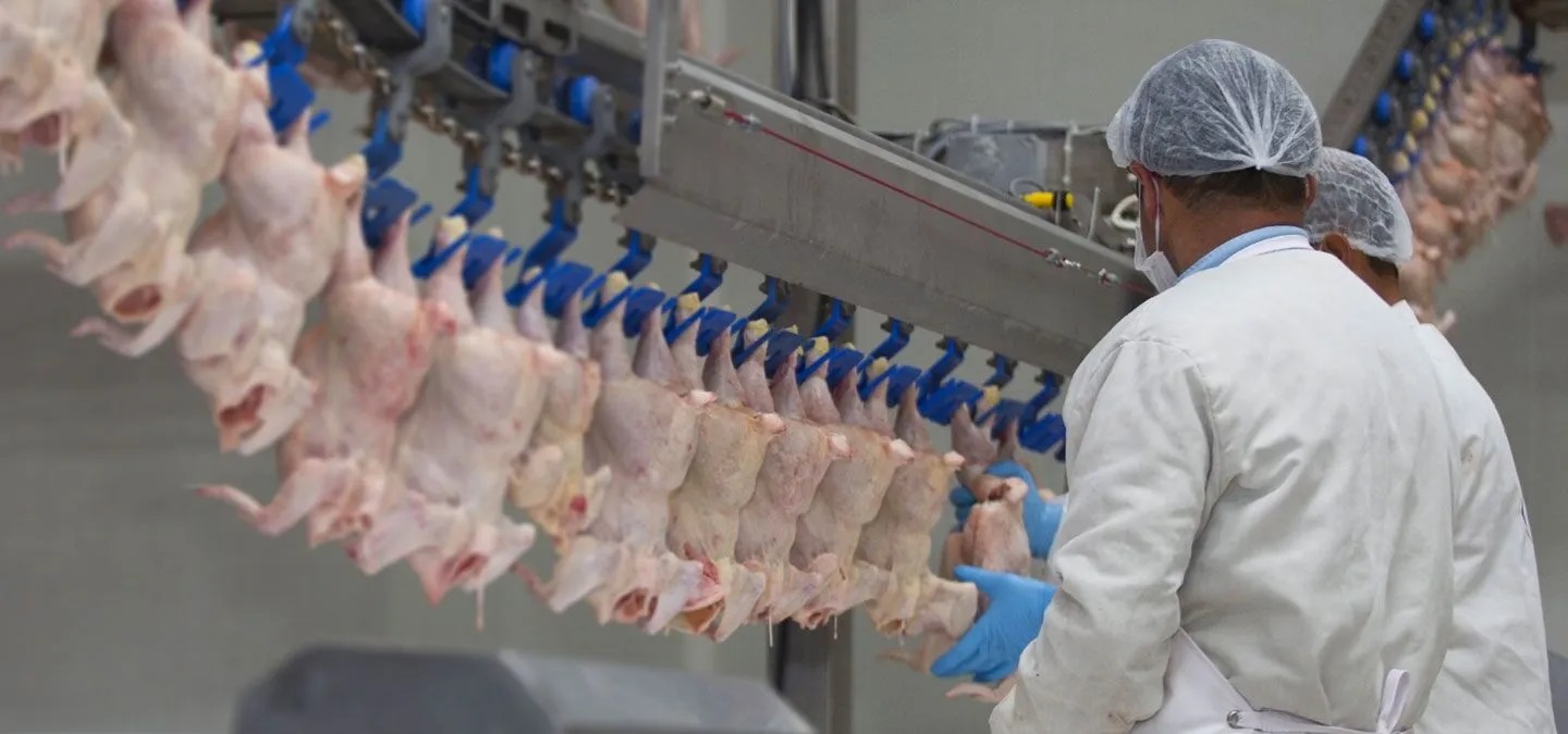 poultry-connect poultry-connect