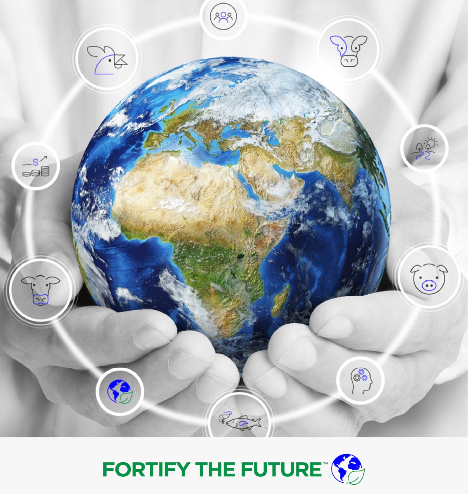 sustainability